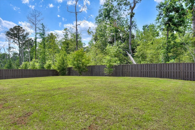 830 Otto Run, North Augusta, SC 29860 - view of yard