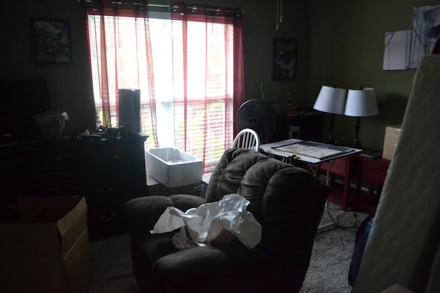 4739 Savannah Ln, Evans, GA 30809 - photo 29