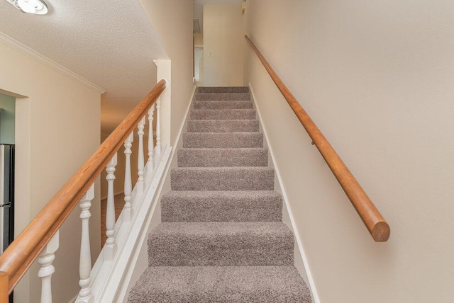 2119 Turtle Ct, Augusta, GA 30907 - stairs featuring carpet floors, a textured ceiling, and crown molding
