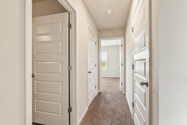 7008 Blackberry Dr, Grovetown, GA 30813 - photo 32