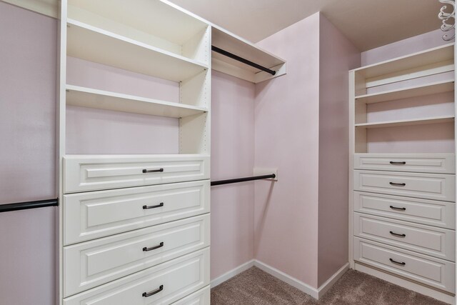 7008 Blackberry Dr, Grovetown, GA 30813 - photo 24