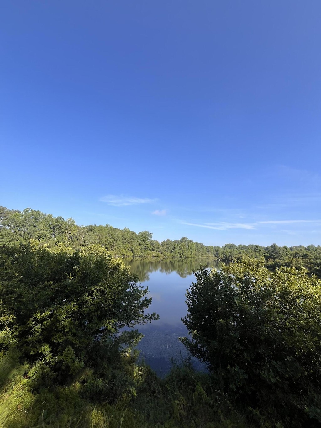 128 Paces Creek Rd, Trenton, SC 29847 - photo 1