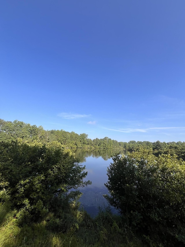 128 Paces Creek Rd, Trenton, SC 29847 - photo 1