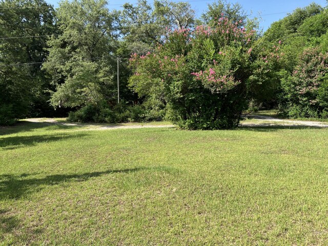 2514 Lumpkin Rd, Augusta, GA 30906 - photo 41