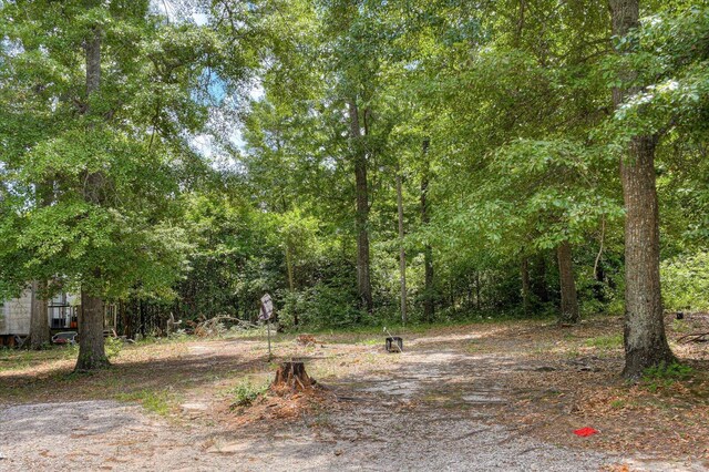 2514 Lumpkin Rd, Augusta, GA 30906 - photo 33