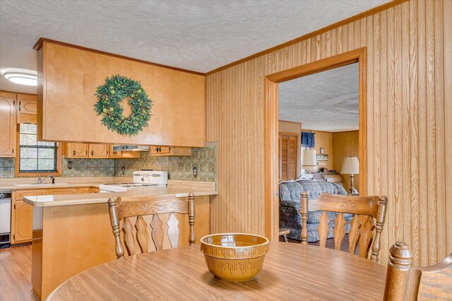 kitchen with dishwasher, sink, ornamental molding, white range oven, and extractor fan