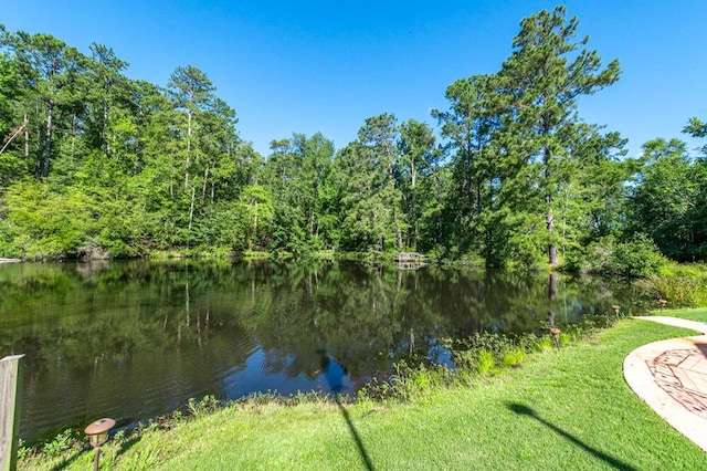1519 Baldwin Lakes Dr, Grovetown, GA 30813 - photo 2