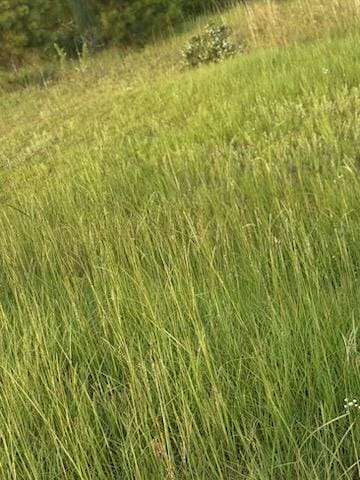 0 Hancock Landing Rd, Waynesboro, GA 30830