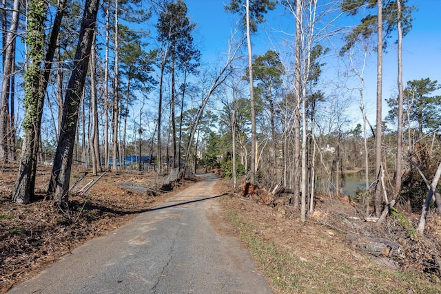 view of road with a view of trees