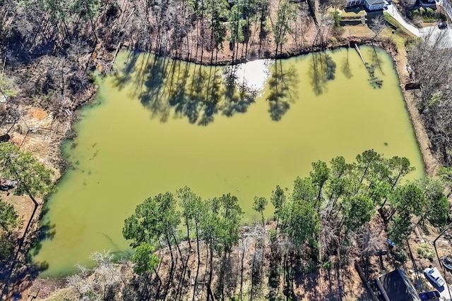 drone / aerial view with a water view and a forest view