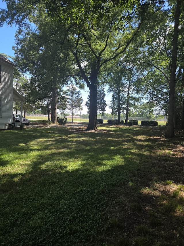 39 Lexington Ave, Washington, GA 30673 - photo 4
