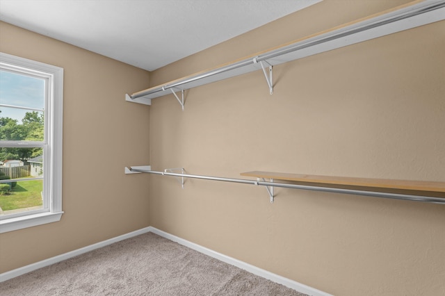 436 Sebastian Dr, Grovetown, GA 30813 - spacious closet featuring carpet