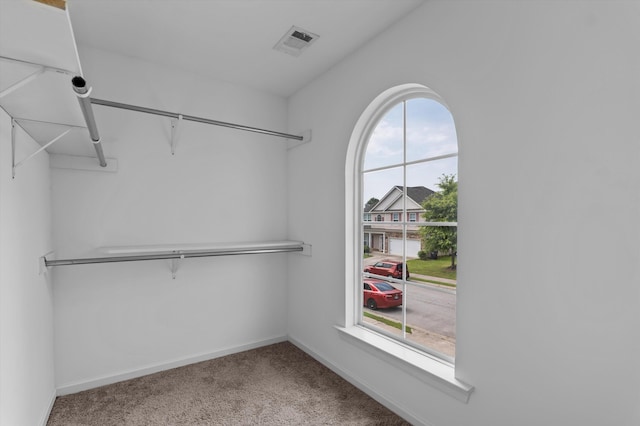 436 Sebastian Dr, Grovetown, GA 30813 - walk in closet with carpet