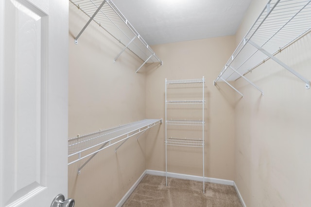 317 Elbrus Way, Grovetown, GA 30813 - photo 26