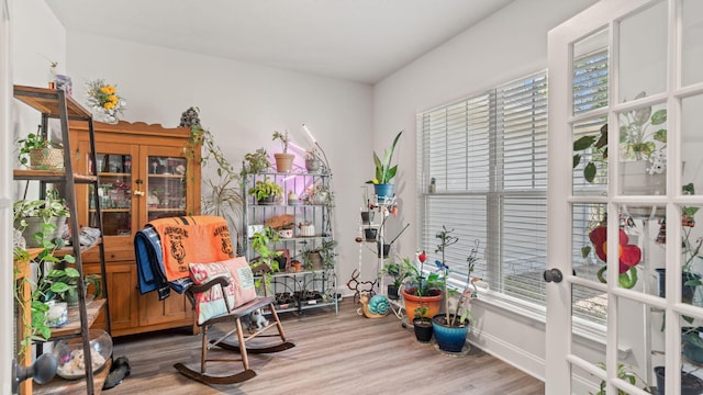 4756 Storey Mill Rd, Hephzibah, GA 30815 - living area with wood finished floors, plenty of natural light, french doors, and baseboards
