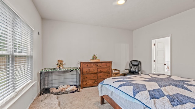 4756 Storey Mill Rd, Hephzibah, GA 30815 - bedroom featuring carpet flooring