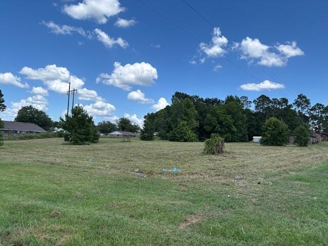 0 Walnut St, Thomson, GA 30824 - photo 13