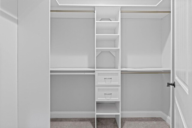 spacious closet with light colored carpet