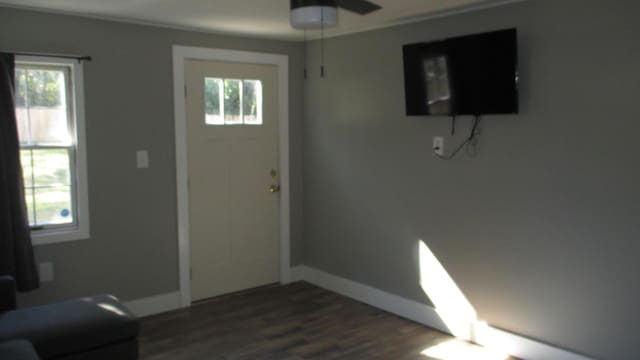 entryway featuring dark hardwood / wood-style flooring