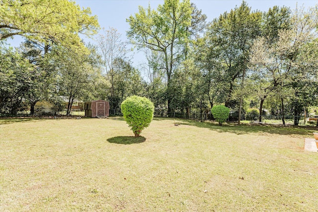 view of yard with a storage shed