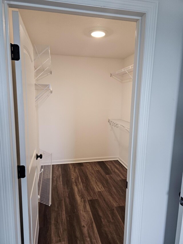 spacious closet featuring wood-type flooring