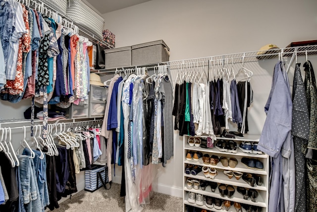 walk in closet featuring carpet floors