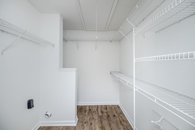 spacious closet featuring hardwood / wood-style flooring