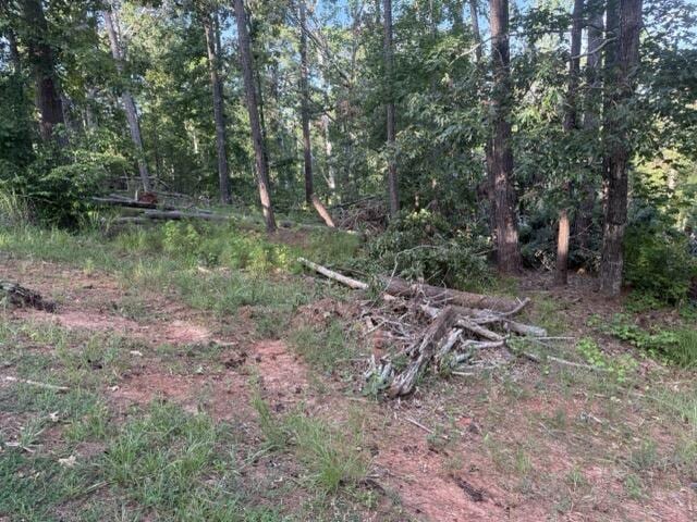 LOT149 Forrest Dr, Modoc, SC 29838 - photo 10