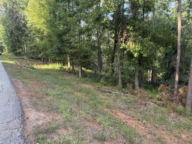 LOT149 Forrest Dr, Modoc, SC 29838 - photo 9