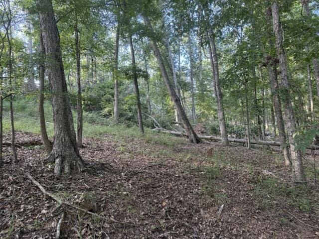 LOT149 Forrest Dr, Modoc, SC 29838 - photo 8