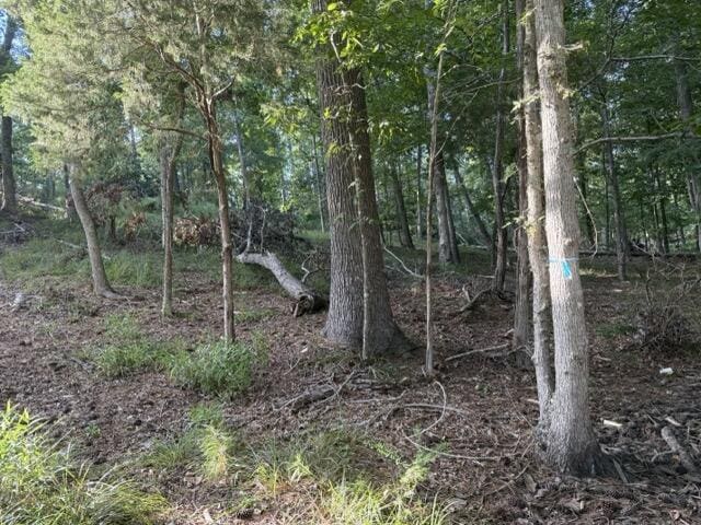 LOT149 Forrest Dr, Modoc, SC 29838 - photo 6