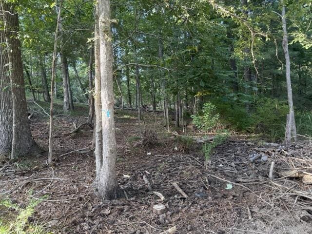 LOT149 Forrest Dr, Modoc, SC 29838 - photo 5