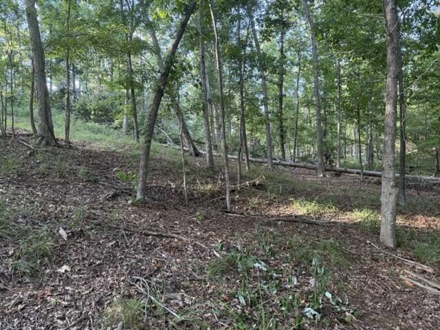 LOT149 Forrest Dr, Modoc, SC 29838 - photo 7