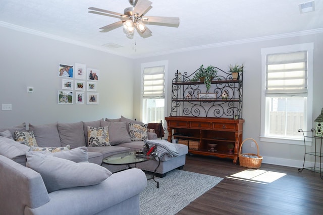 411 Barrow Ln, Grovetown, GA 30813 - photo 20