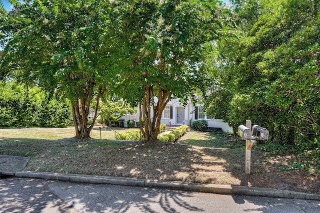 view of obstructed view of property