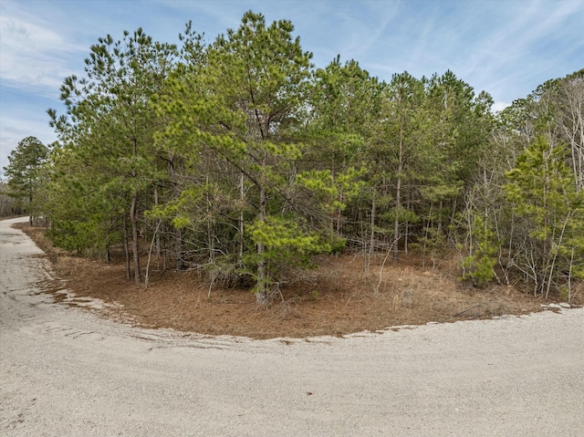 2687 Big Dog Trl, Hephzibah, GA 30815