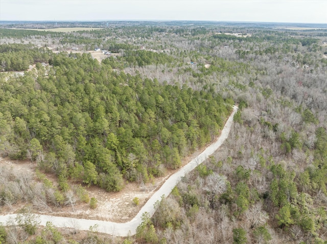 2687 Big Dog Trl, Hephzibah, GA 30815