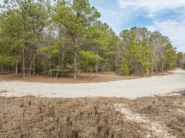 2687 Big Dog Trl, Hephzibah, GA 30815