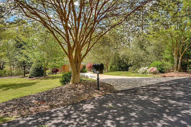 view of home's community with a yard