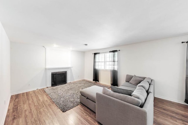 living room with wood-type flooring