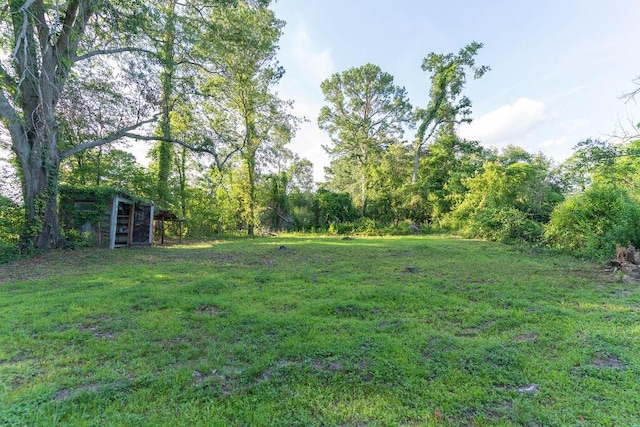 2011 Kennedy Dr, Augusta, GA 30904 - view of green lawn featuring an outdoor structure