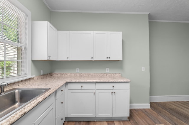 1940 Telfair St, Augusta, GA 30904 - kitchen featuring a sink, dark wood-style flooring, healthy amount of natural light, light countertops, and ornamental molding