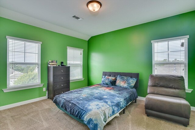 bedroom featuring carpet floors and multiple windows