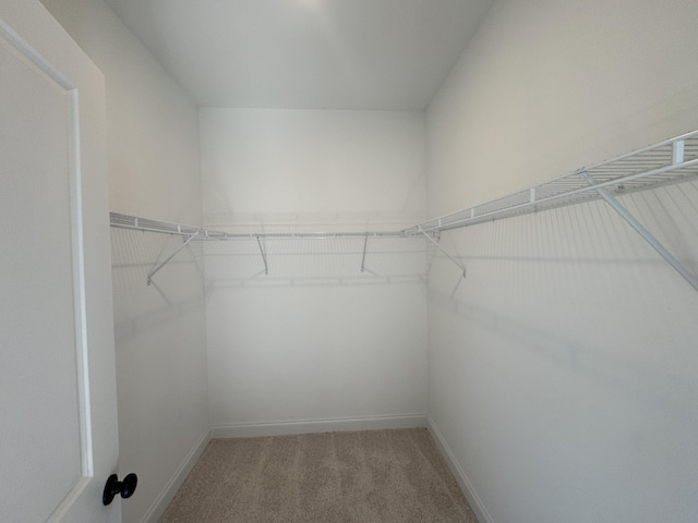 spacious closet with carpet floors