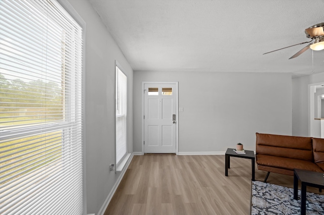 4221 Cap Chat St, Hephzibah, GA 30815 - foyer with light wood finished floors and ceiling fan