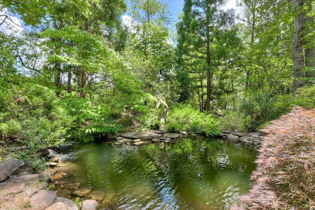 1998 Sunshine Cir, Aiken, SC 29803 - photo 47