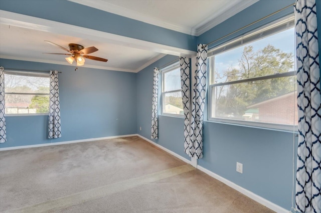 carpeted empty room featuring baseboards, a ceiling fan, and crown molding