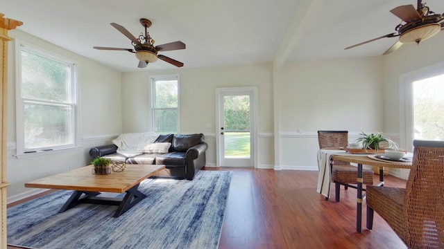 living room with ceiling fan, plenty of natural light, dark hardwood / wood-style floors, and beamed ceiling