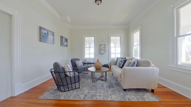 living room featuring ornamental molding and light hardwood / wood-style floors