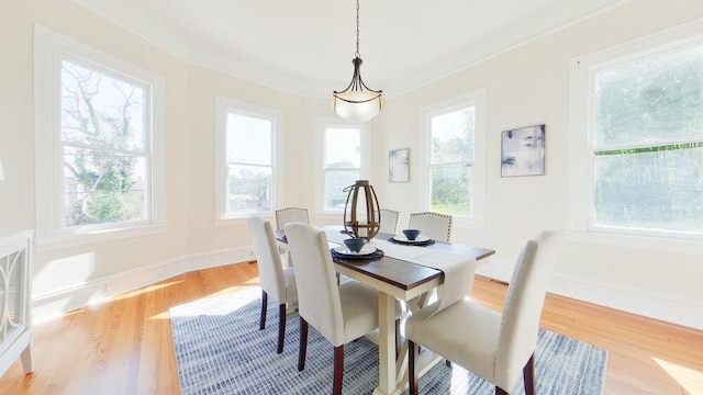 dining room featuring ornamental molding and light hardwood / wood-style flooring